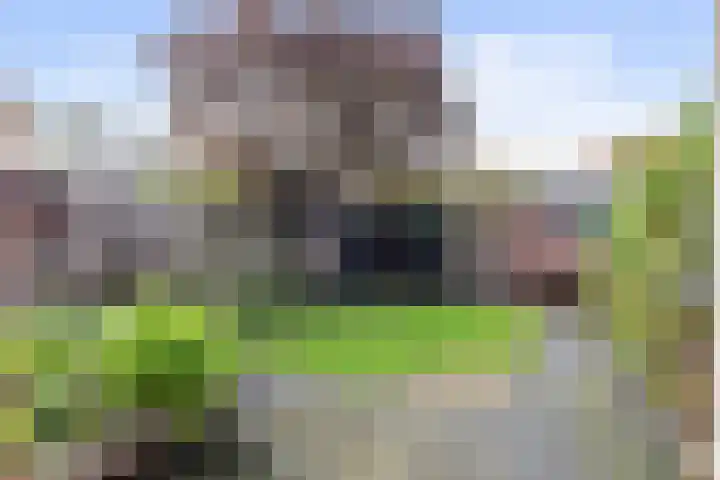 Schoutenveld 723 Apeldoorn thumbnail 4