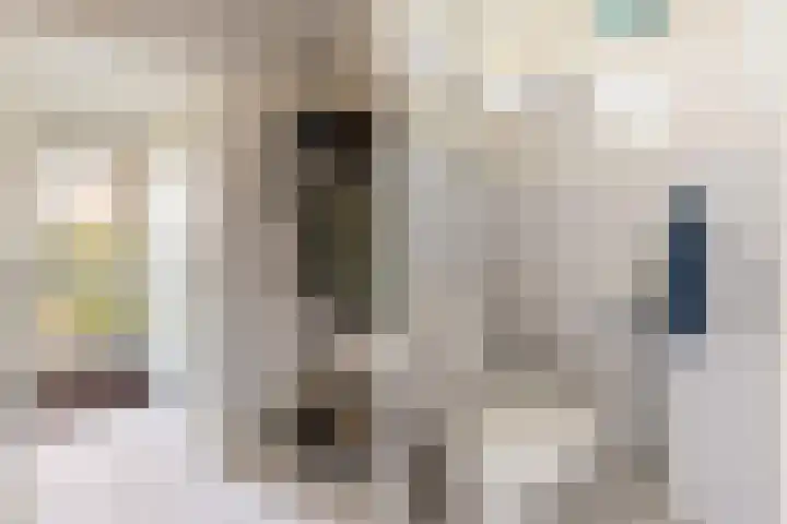 Schoutenveld 723 Apeldoorn thumbnail 5