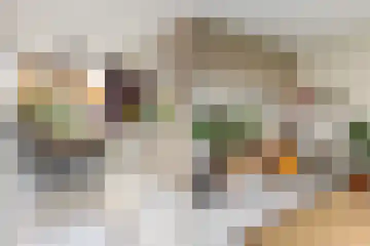 Schoutenveld 723 Apeldoorn thumbnail 8