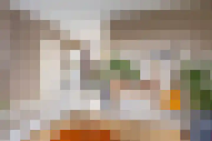 Schoutenveld 723 Apeldoorn thumbnail 9
