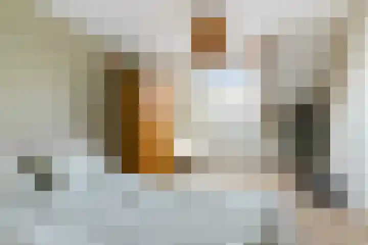 Schoutenveld 902 Apeldoorn thumbnail 28