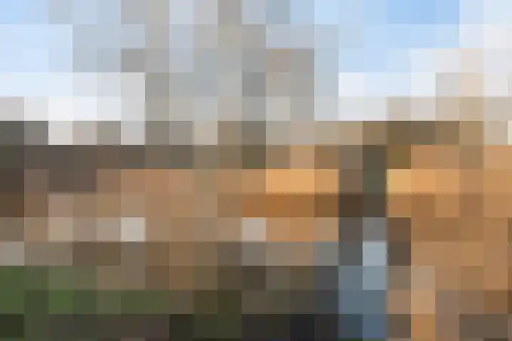 Schoutenveld 902 Apeldoorn thumbnail 34