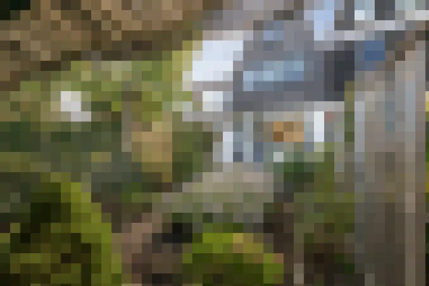 Schoutenweg 22 Deventer thumbnail 23