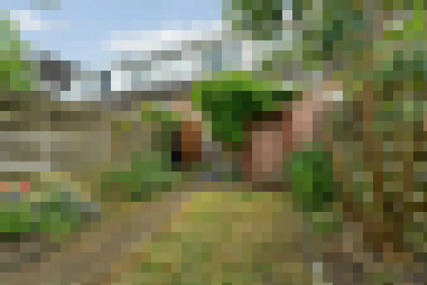 Schoutenweg 30 Deventer thumbnail 22