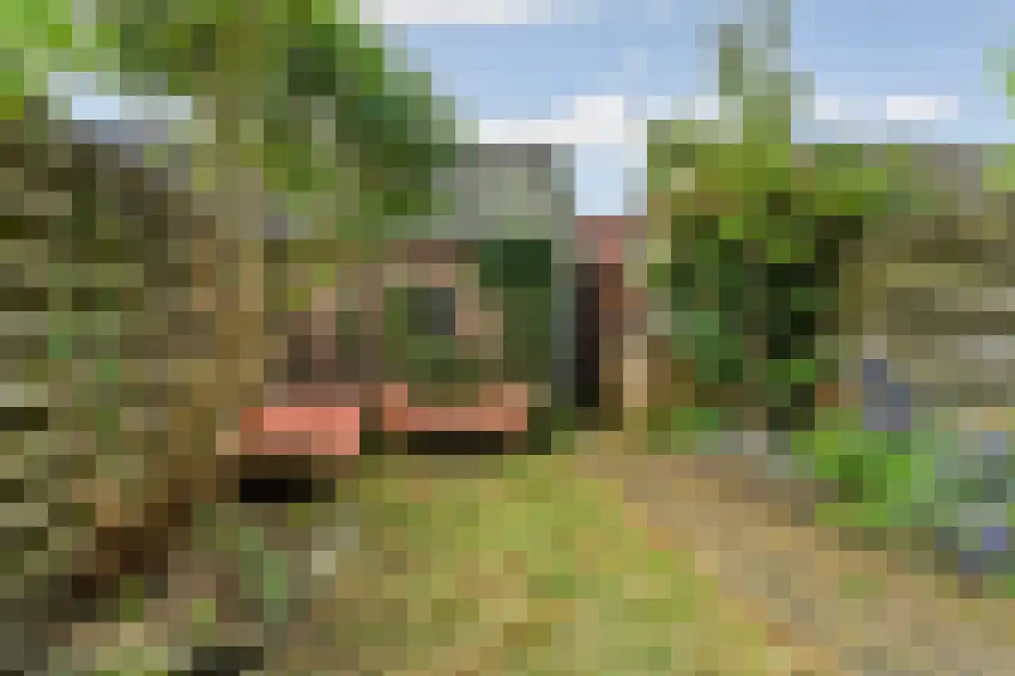 Schoutenweg 30 Deventer thumbnail 24