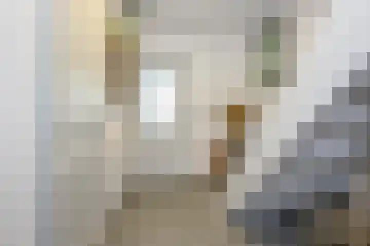 Schouthof 13 Katwijk thumbnail 15