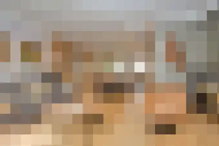 Schouthof 13 Katwijk thumbnail 18