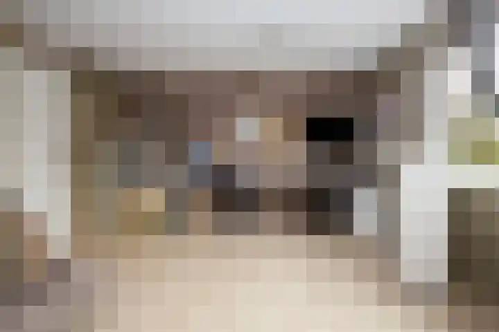 Schouthof 13 Katwijk thumbnail 42