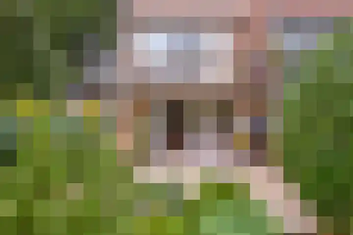 Schouthof 13 Katwijk thumbnail 5