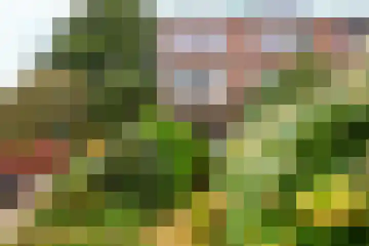 Schouthof 13 Katwijk thumbnail 65