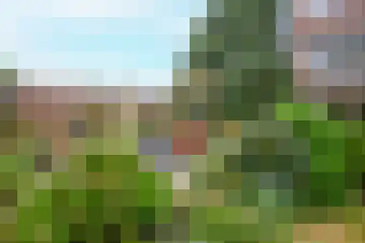 Schouthof 13 Katwijk thumbnail 66