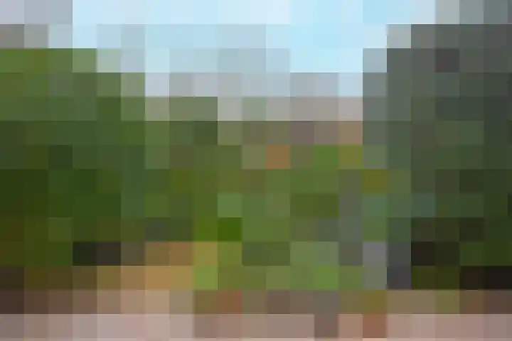 Schouthof 13 Katwijk thumbnail 69