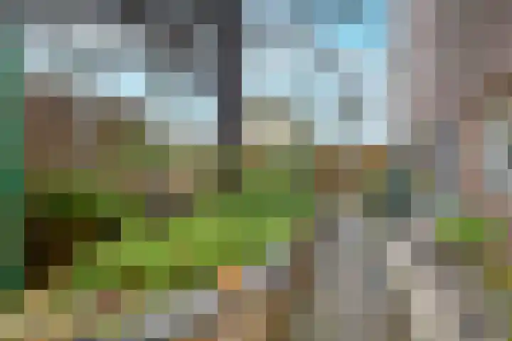 Schouthof 13 Katwijk thumbnail 75