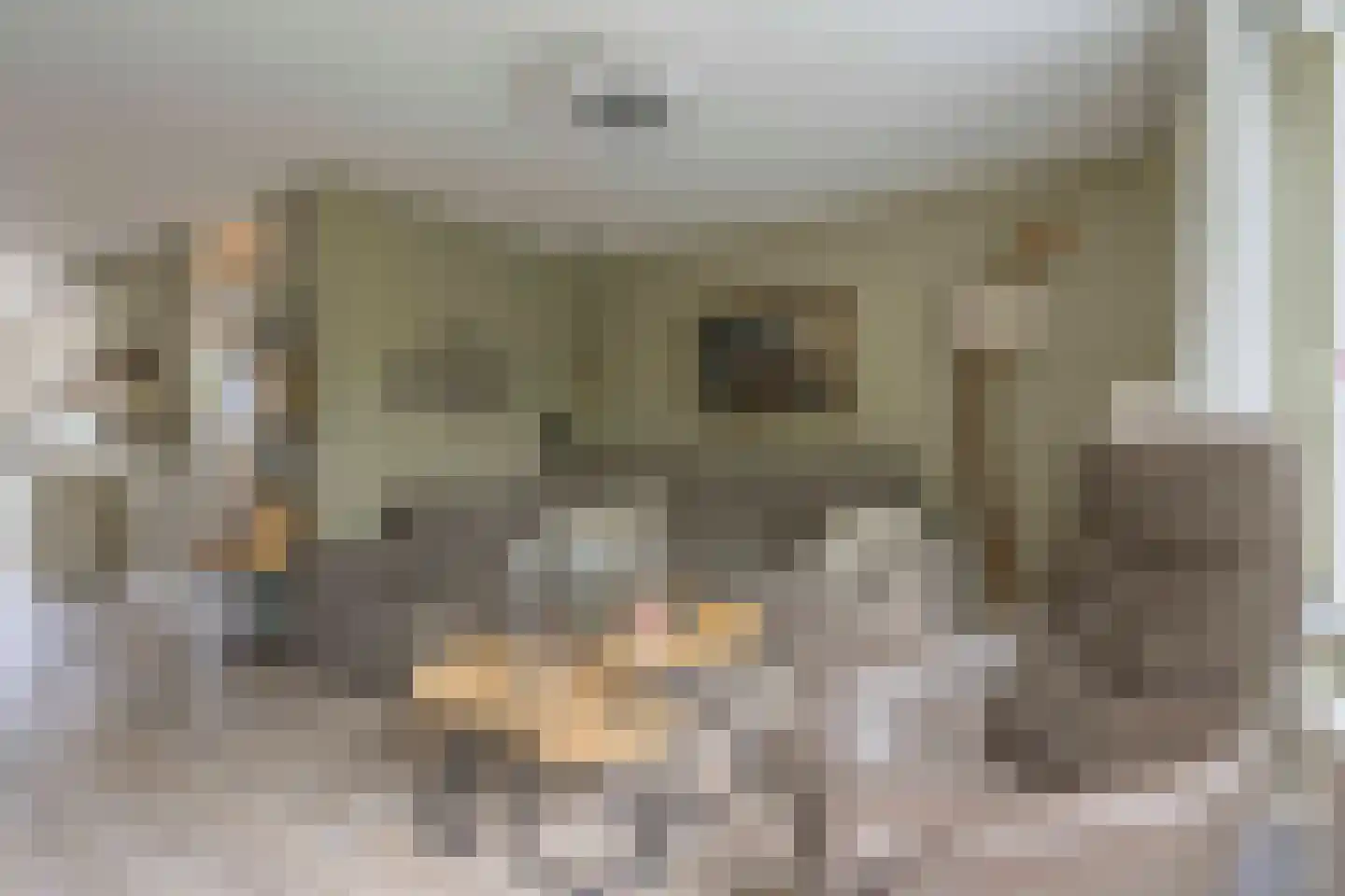 Schouthof 33 Katwijk thumbnail 24
