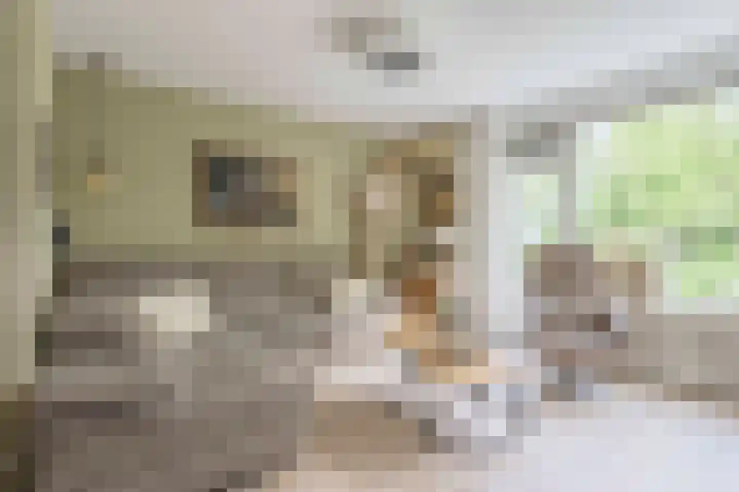 Schouthof 33 Katwijk thumbnail 25