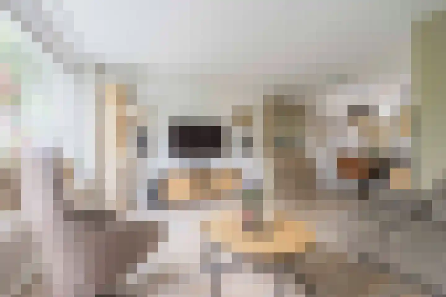 Schouthof 33 Katwijk thumbnail 26
