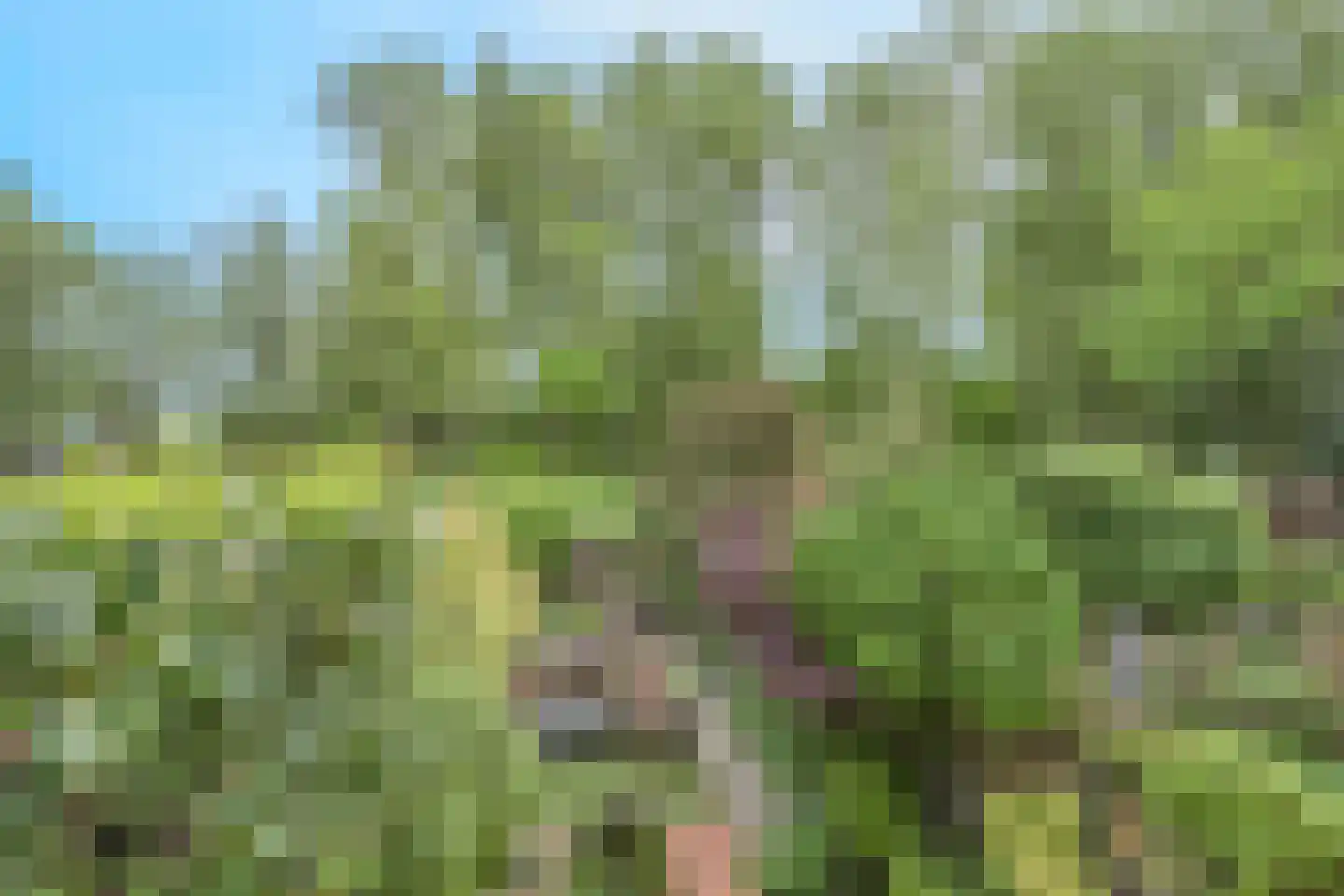Schouthof 33 Katwijk thumbnail 28