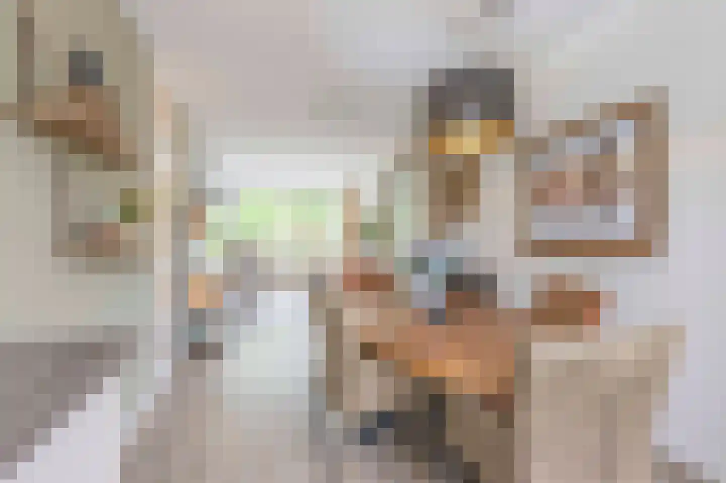 Schouthof 33 Katwijk thumbnail 31