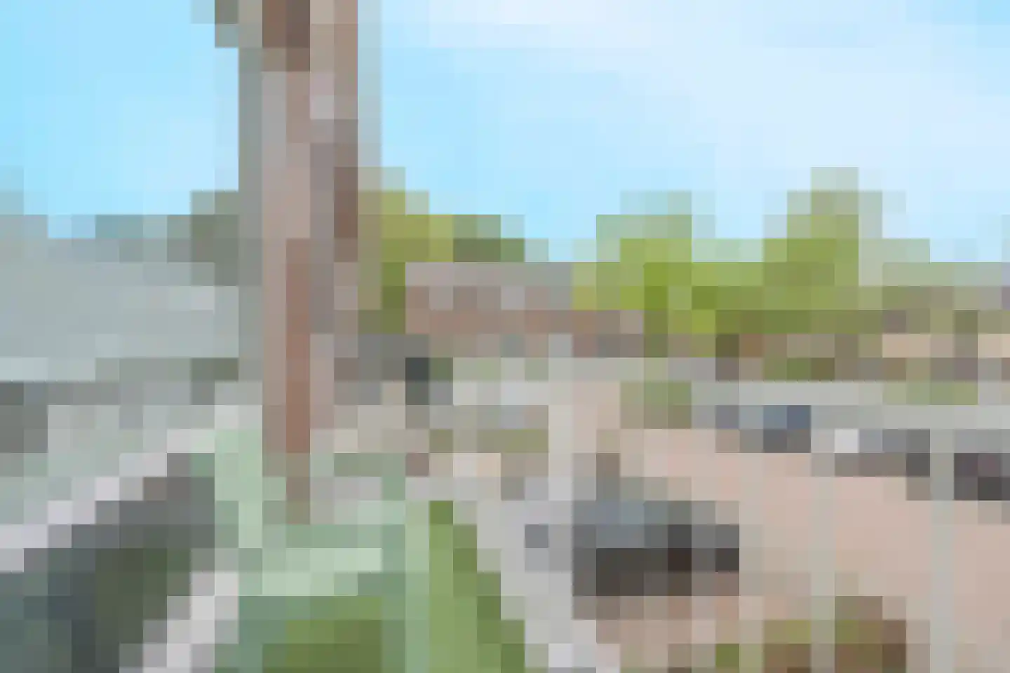 Schouthof 33 Katwijk thumbnail 32