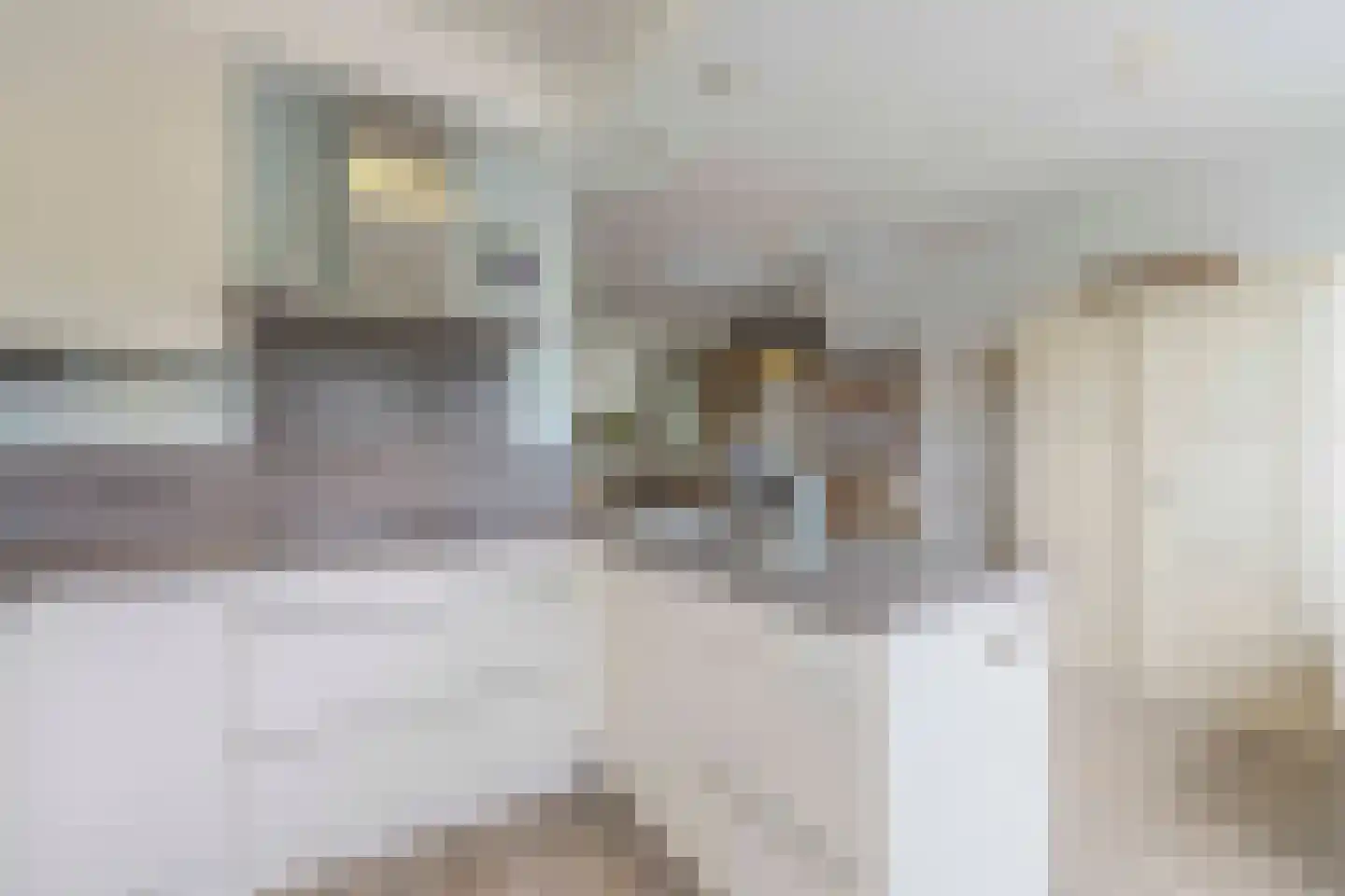 Schouthof 33 Katwijk thumbnail 34