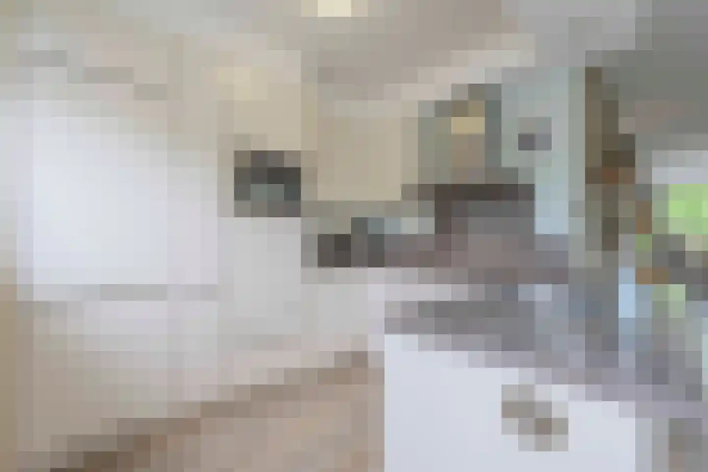 Schouthof 33 Katwijk thumbnail 35