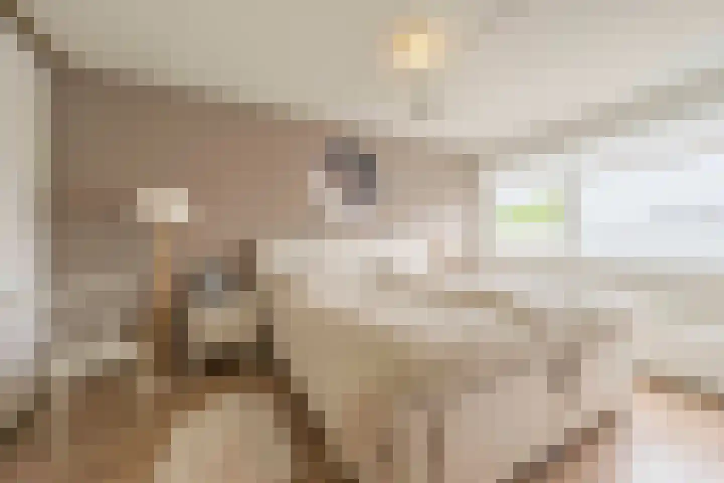 Schouthof 33 Katwijk thumbnail 37