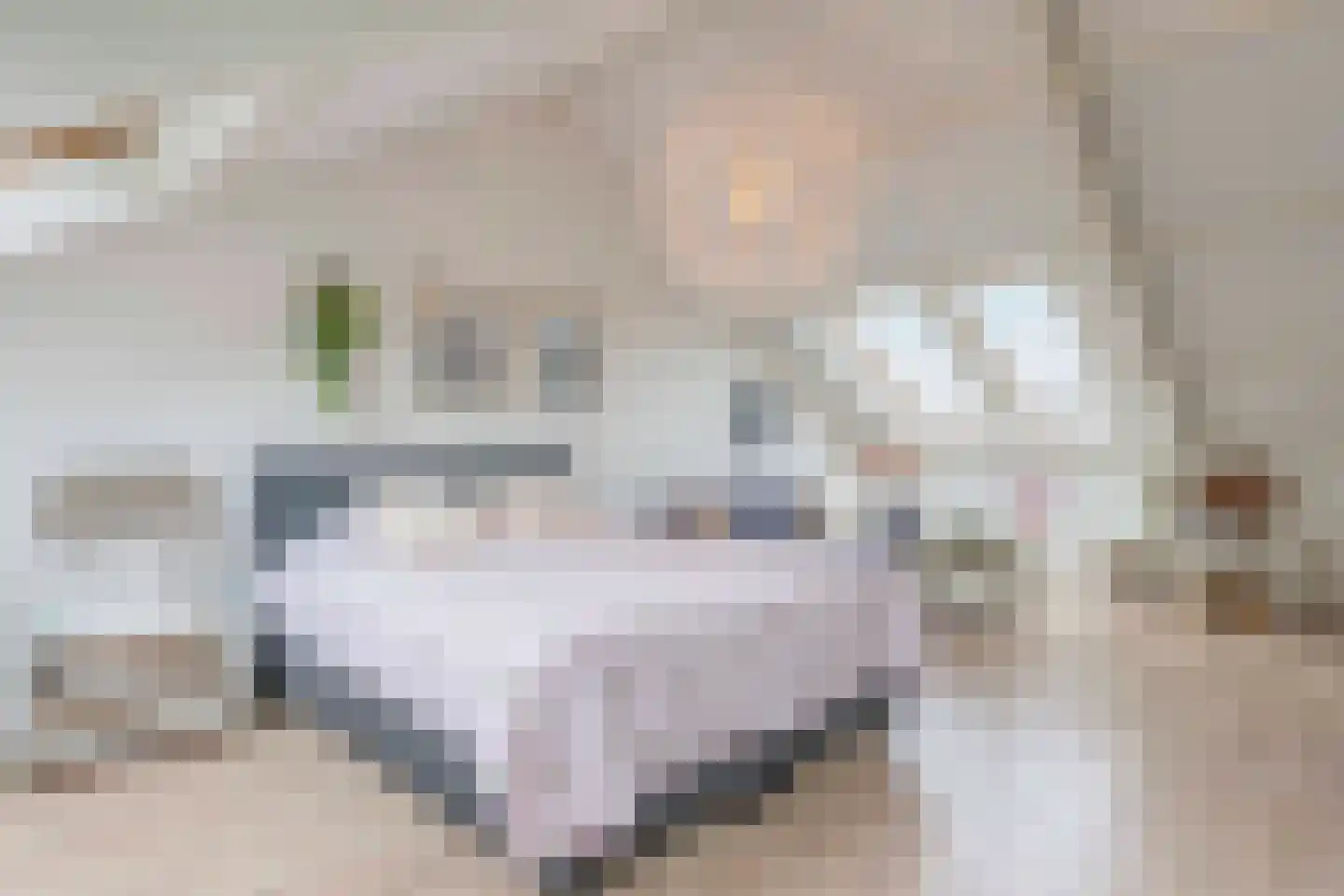 Schouthof 33 Katwijk thumbnail 46