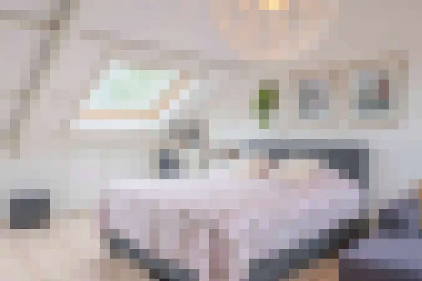 Schouthof 33 Katwijk thumbnail 47