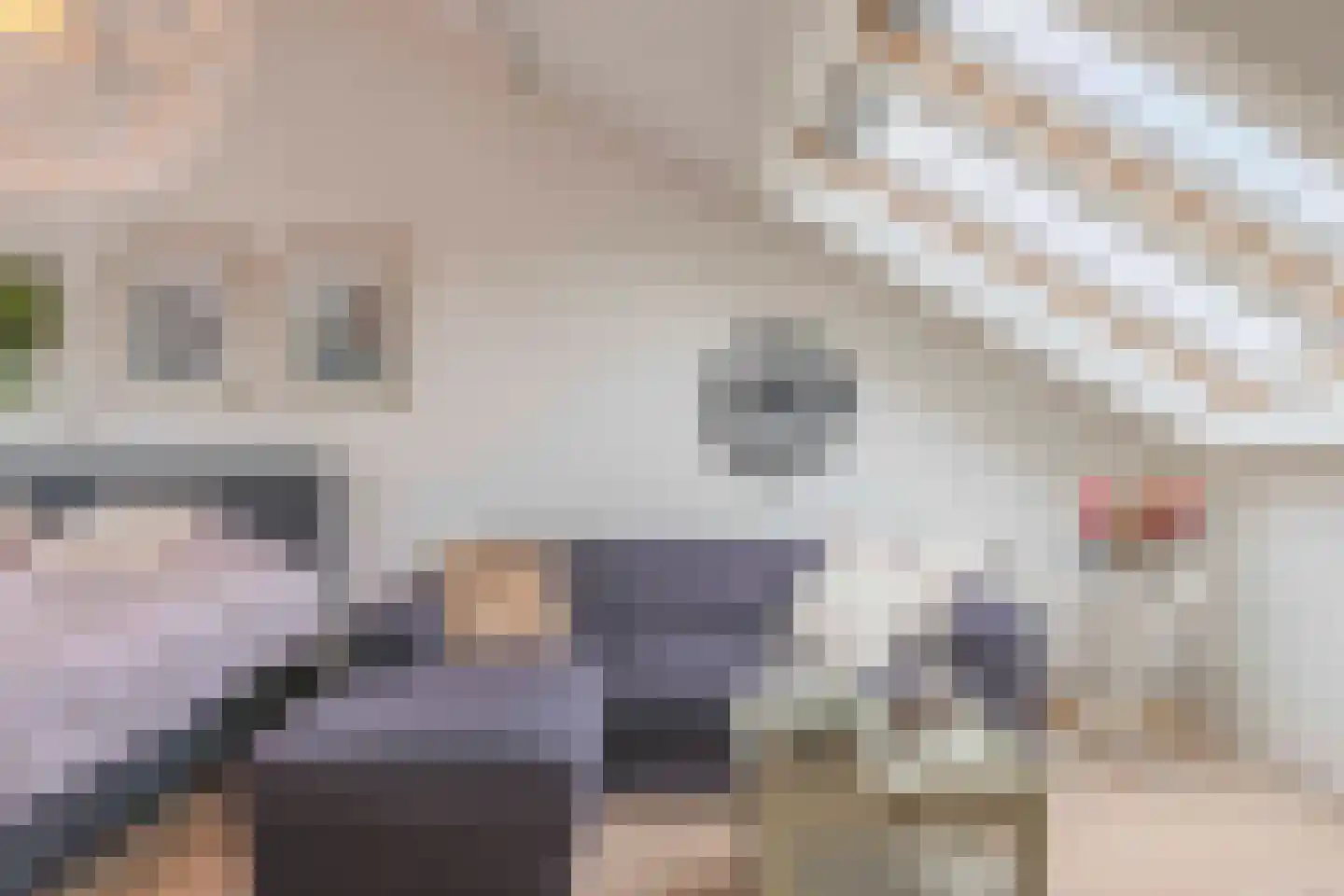 Schouthof 33 Katwijk thumbnail 48