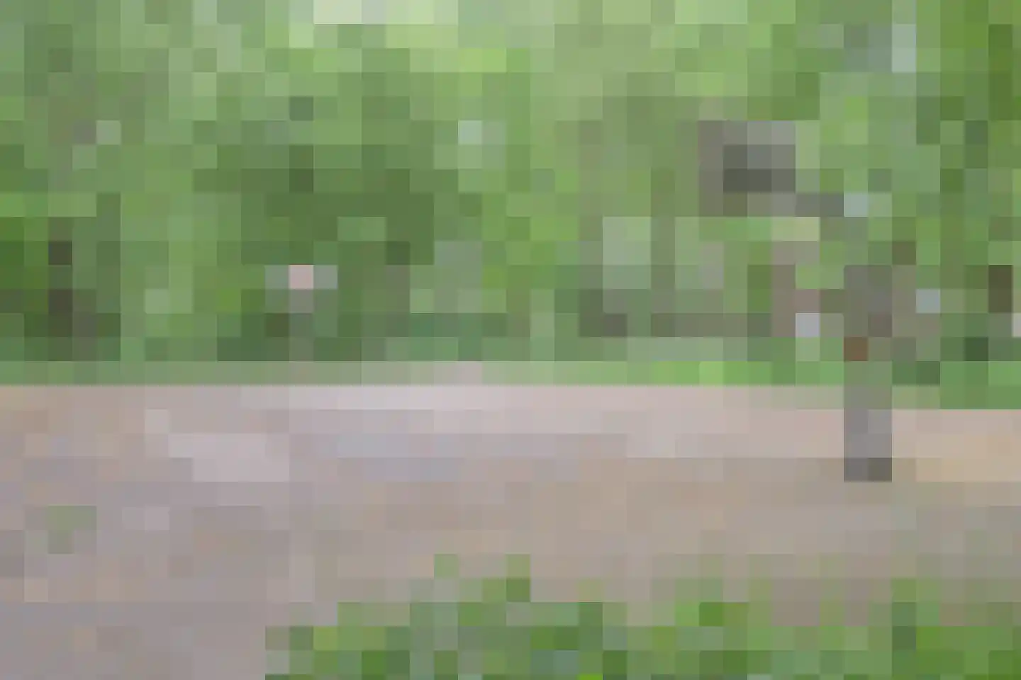 Schouthof 33 Katwijk thumbnail 52