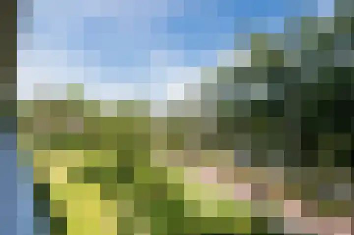 Schouthof 52 Katwijk thumbnail 32
