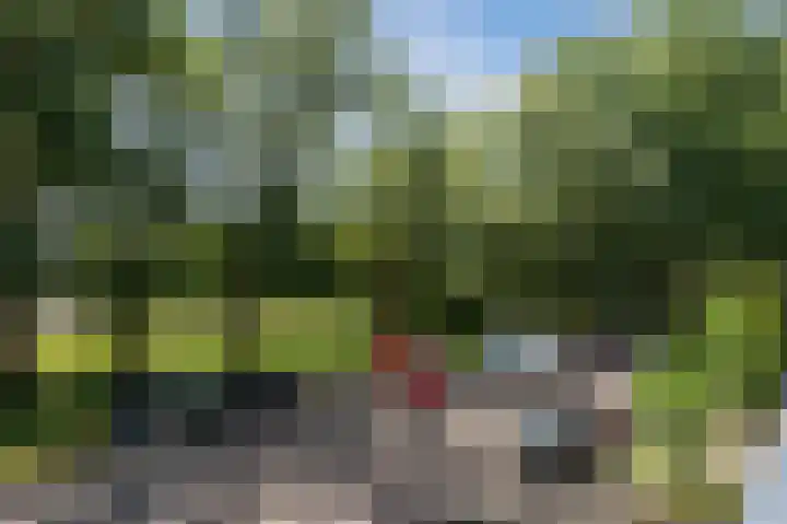 Schouthof 52 Katwijk thumbnail 36