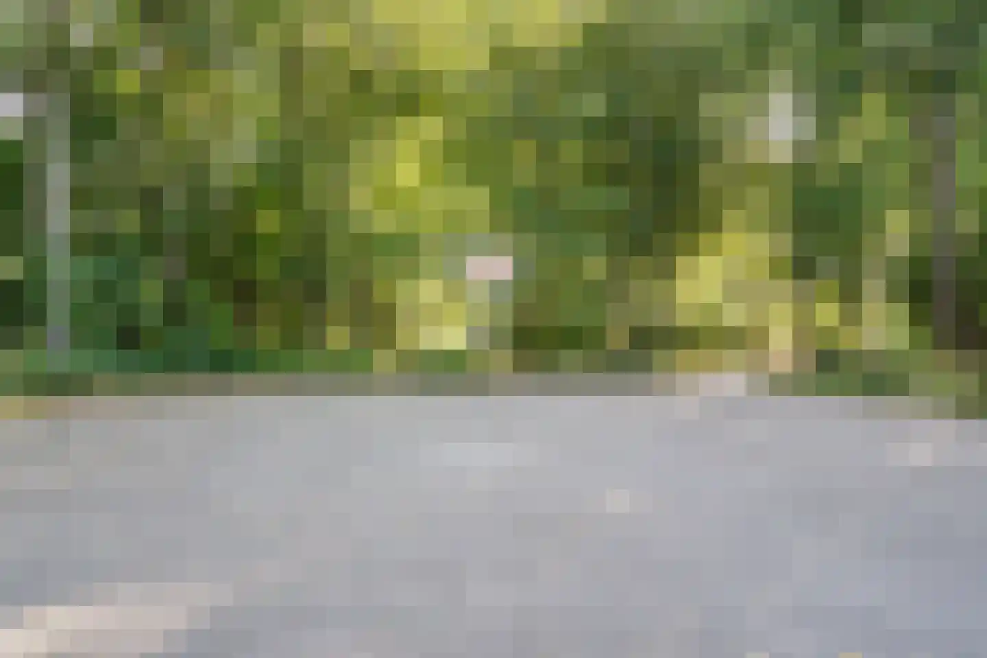 Schouthof 58 Katwijk thumbnail 66