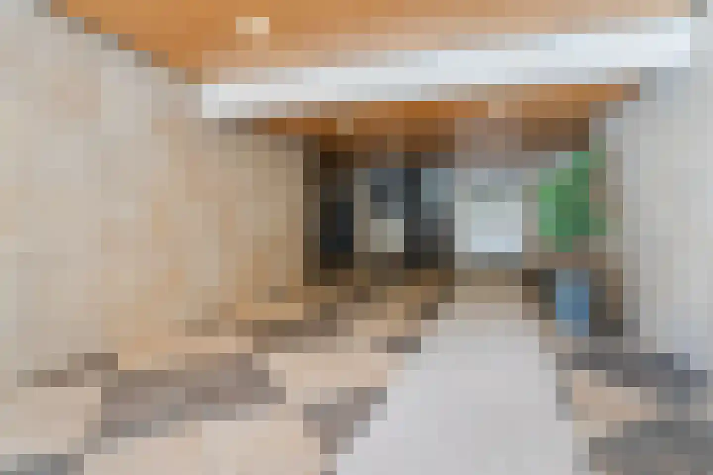 Schouthof 58 Katwijk thumbnail 9