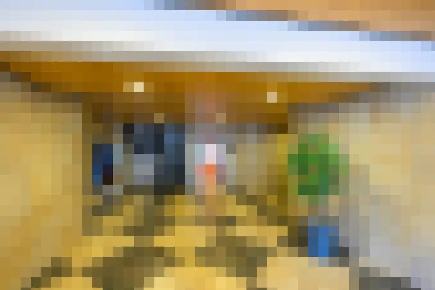 Schouthof 72 Katwijk thumbnail 4