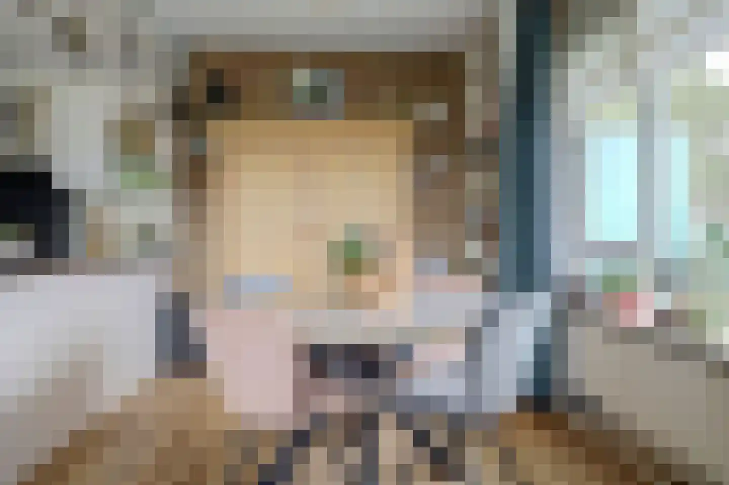 Schouthof 73 Katwijk thumbnail 21