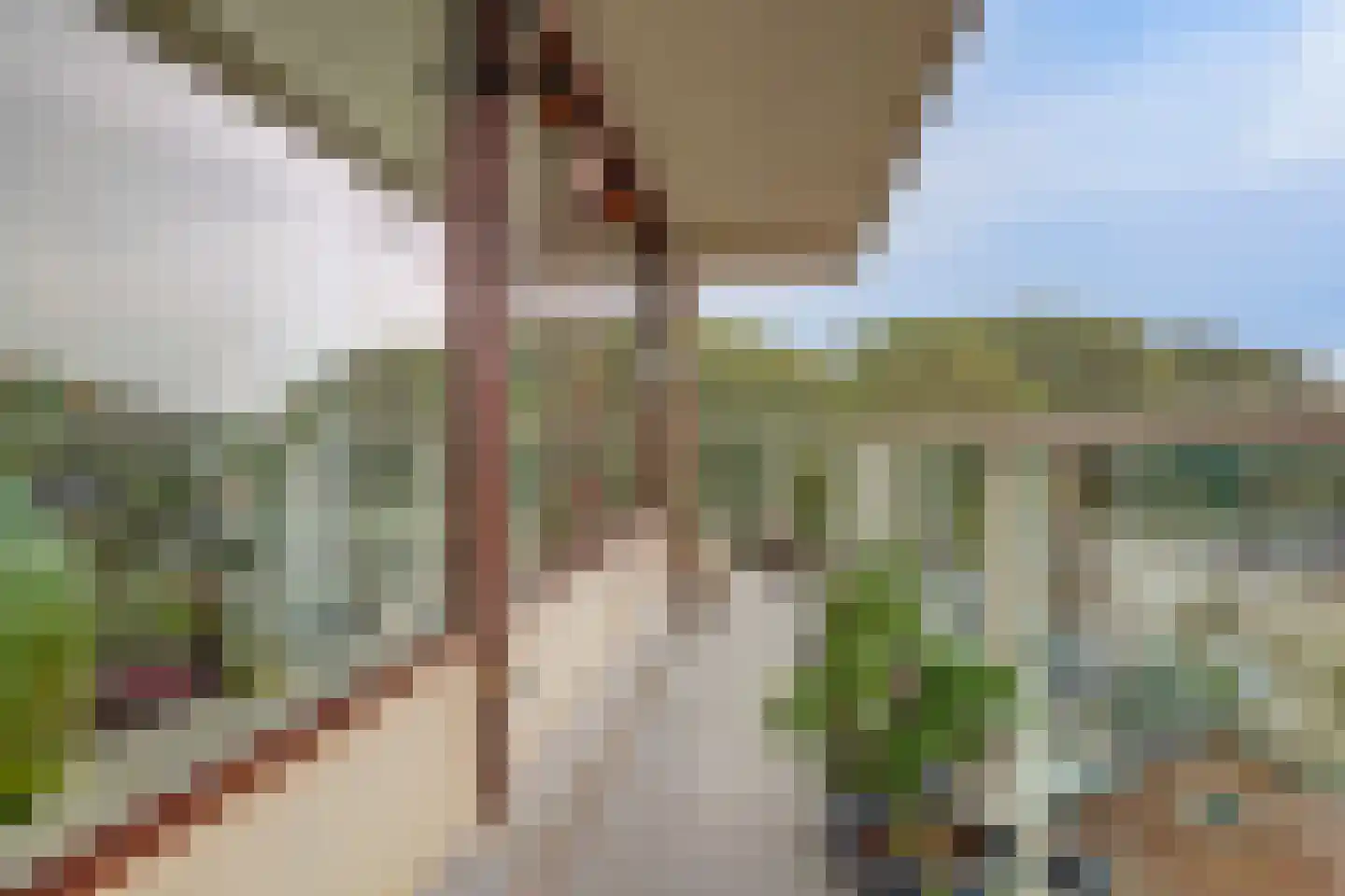 Schouthof 73 Katwijk thumbnail 38