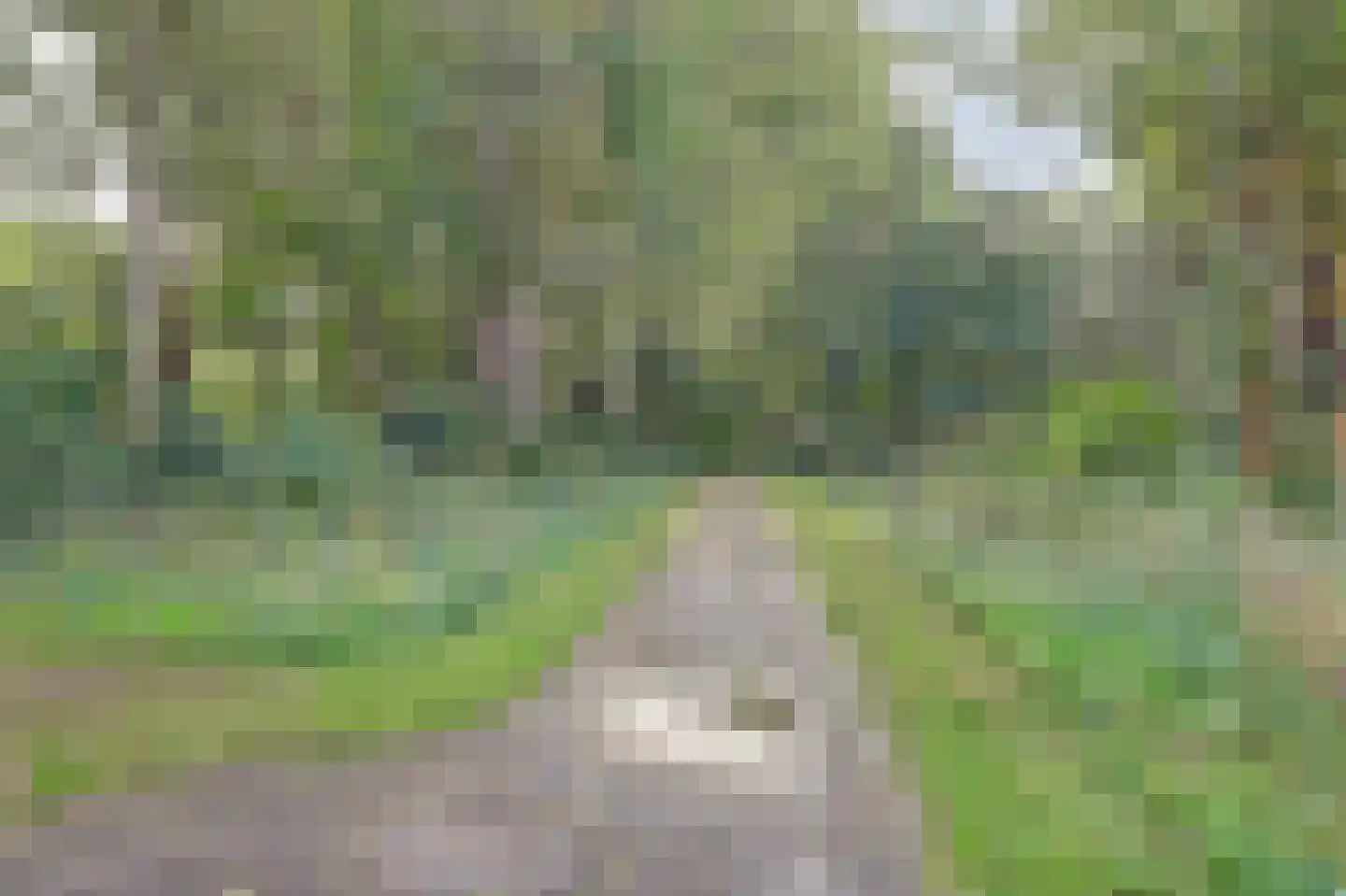 Schouthof 73 Katwijk thumbnail 43