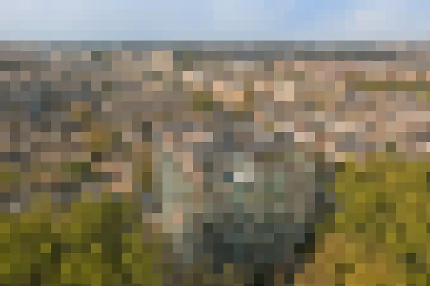 Schouthof 73 Katwijk thumbnail 52