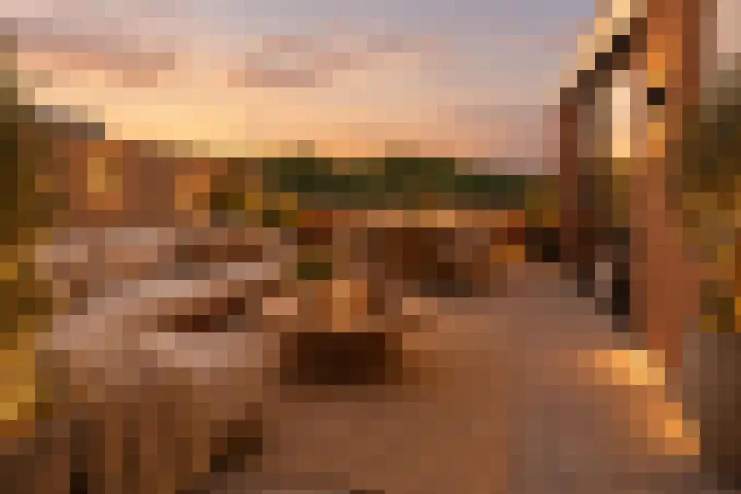 Schouthof 90 Katwijk thumbnail 4