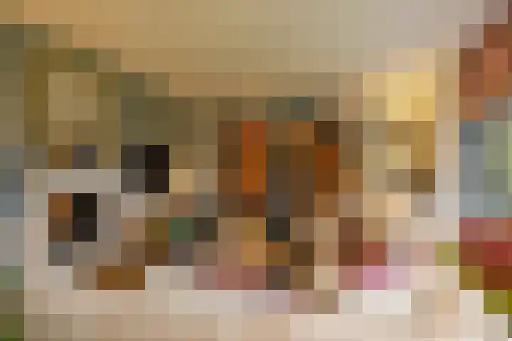 Schoutlaan 1 Asperen thumbnail 17