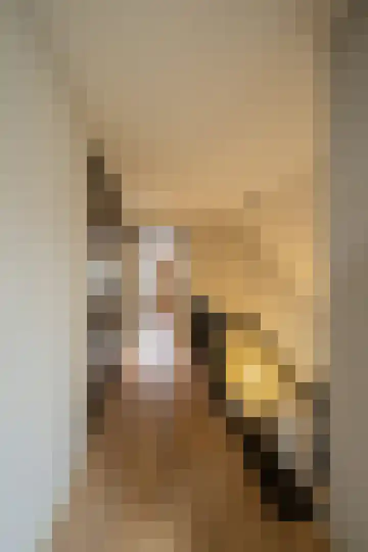 Schoutlaan 1 Asperen thumbnail 27