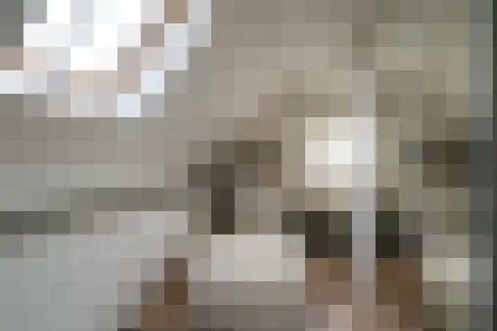 Schoutlaan 1 Asperen thumbnail 29