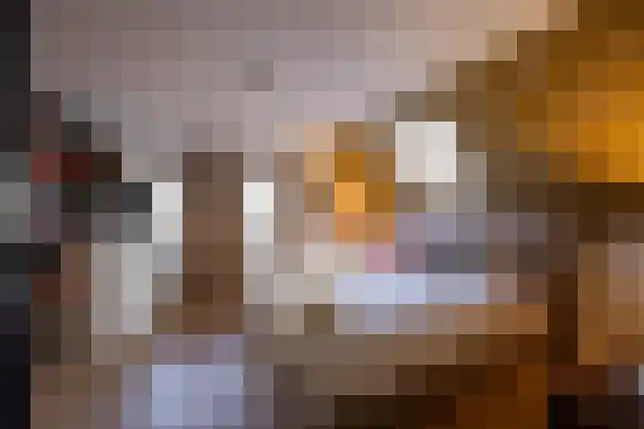 Schoutlaan 1 Asperen thumbnail 36
