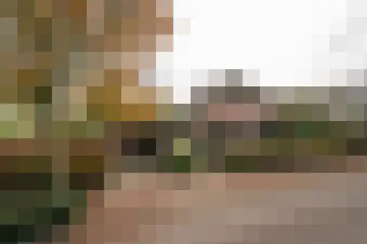 Schoutlaan 1 Asperen thumbnail 39