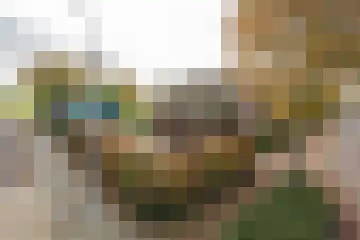 Schoutlaan 1 Asperen thumbnail 40