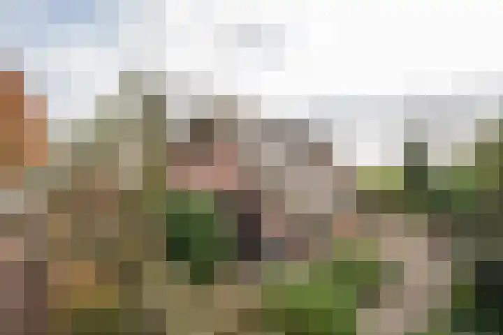 Schoutlaan 1 Asperen thumbnail 42
