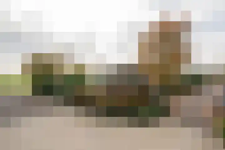 Schoutlaan 1 Asperen thumbnail 43