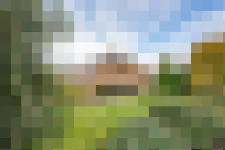 Schoutlaan 1 Asperen thumbnail 46