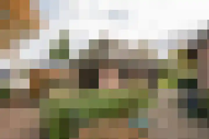 Schoutlaan 1 Asperen thumbnail 47